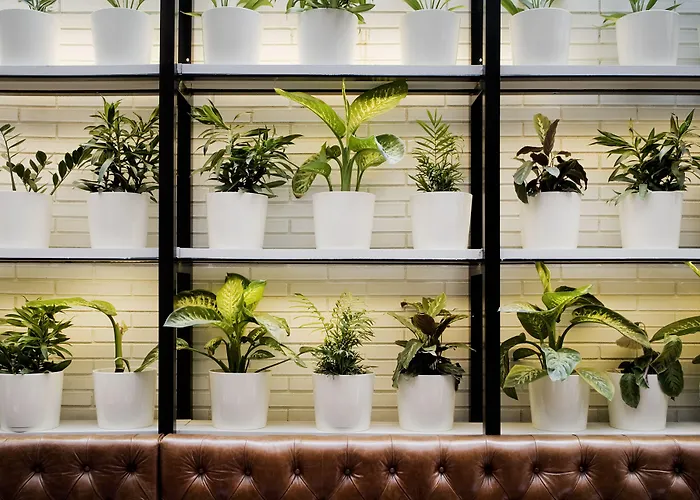 Hotel Praktik Bakery